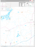 Palo Pinto Wall Map Premium Style